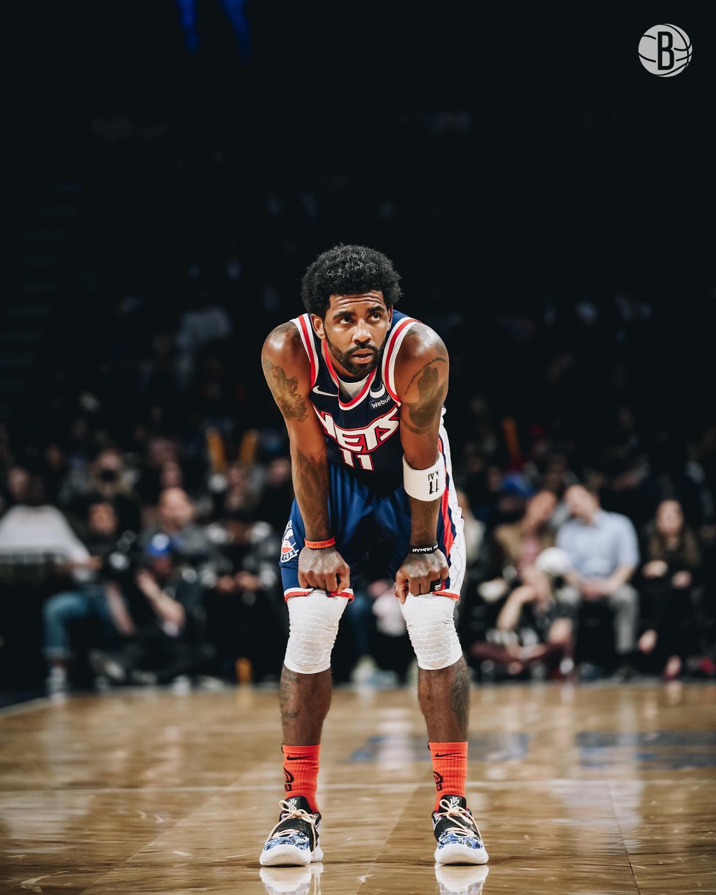 在这款强调 在这款强调